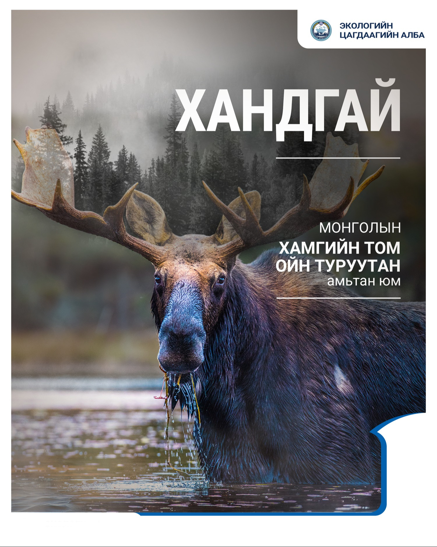 Нэн ховор амьтан болох 